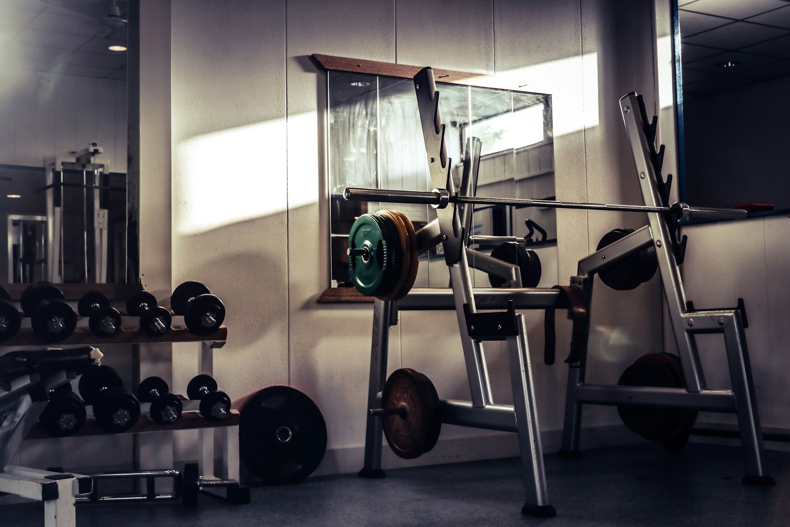 A quiet studio in morning sun: a squat rack with a green plate on the bar and dumbbells along the wall